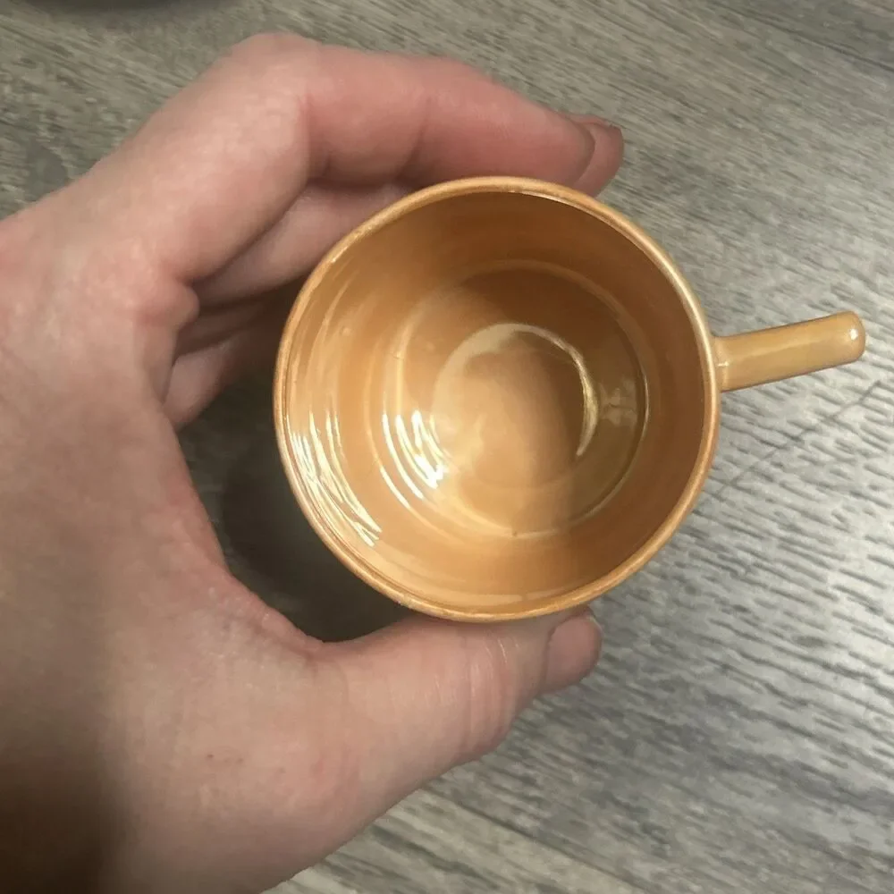 Czech Lustre Ware Tea Cup MZ CM-R